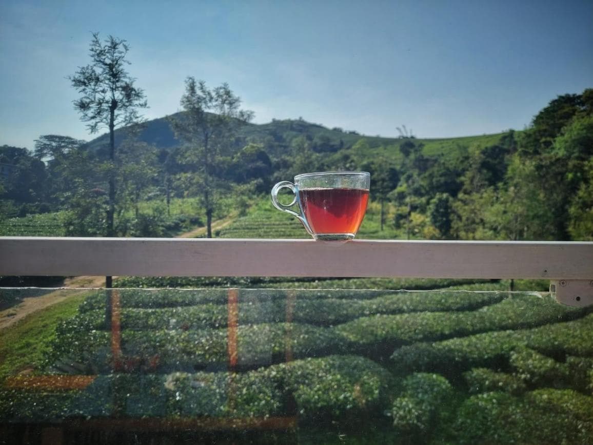 Eco Path Resort view 17